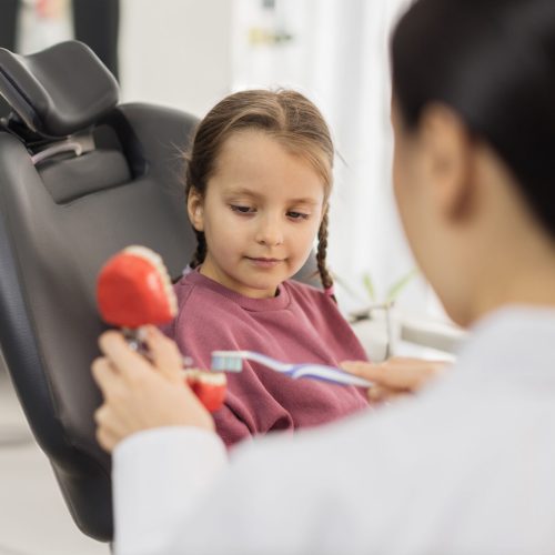 Portrait of a smiling happy child girl with sitting at the dental office and looking at brush, while female young dentist shows how to brush teeth on artificial jaw model.